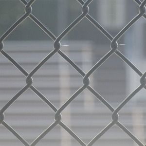 Meet your Posher, Sophia